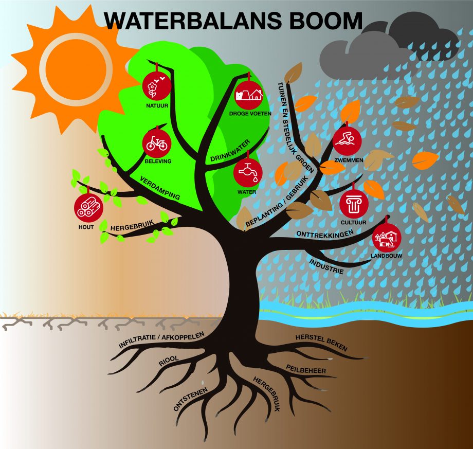 Waterbalans-Boom-DEF-920x873