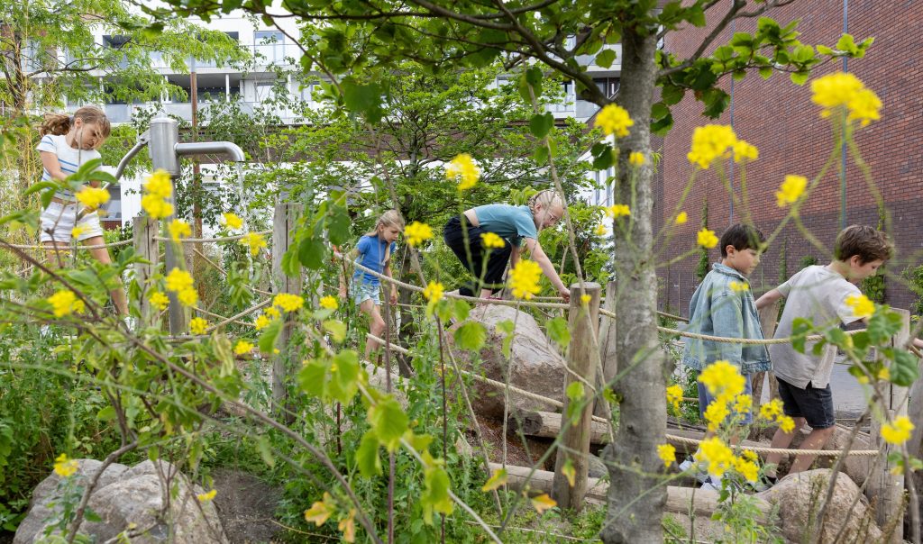 'Utrecht wordt steeds groener!’ Publicatie subsidieregeling Groene, Gezonde en Klimaatbestendige Steden en Dorpen