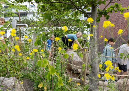 'Utrecht wordt steeds groener!’ Publicatie subsidieregeling Groene, Gezonde en Klimaatbestendige Steden en Dorpen