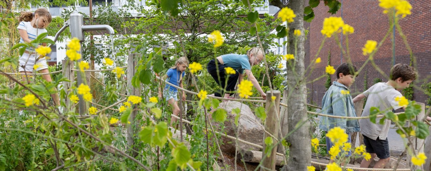 'Utrecht wordt steeds groener!’ Publicatie subsidieregeling Groene, Gezonde en Klimaatbestendige Steden en Dorpen